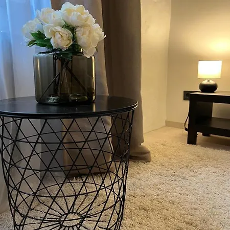 Ringi 1 Centre Apartman Pärnu