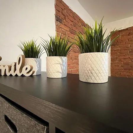 Ringi 1 Centre Apartman *